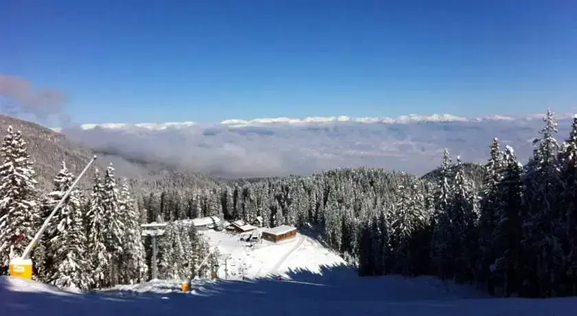 Разлог: The Green Pine Chalet