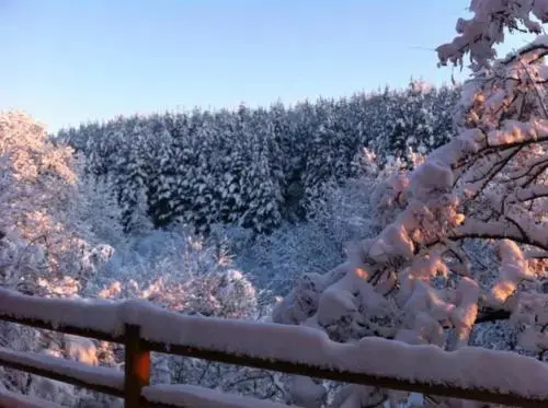 Разлог: The Green Pine Chalet