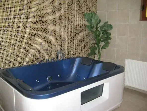 Баня: Spa Hotel Rimska Banya