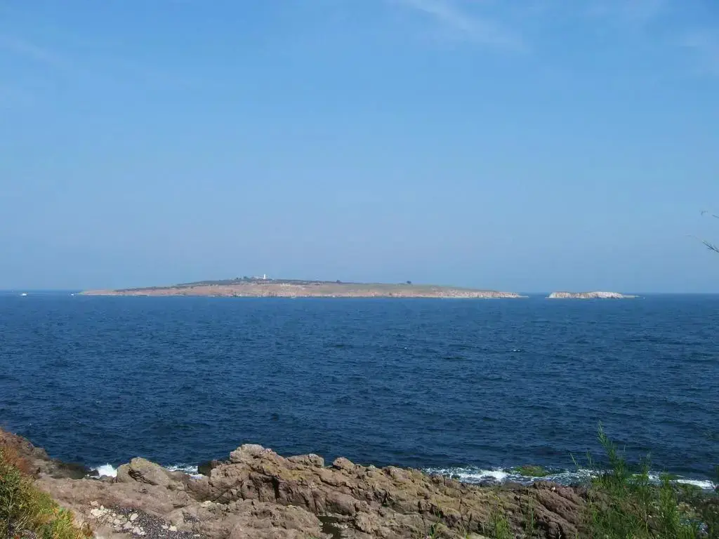 Созополь: Guest House Old Sozopol