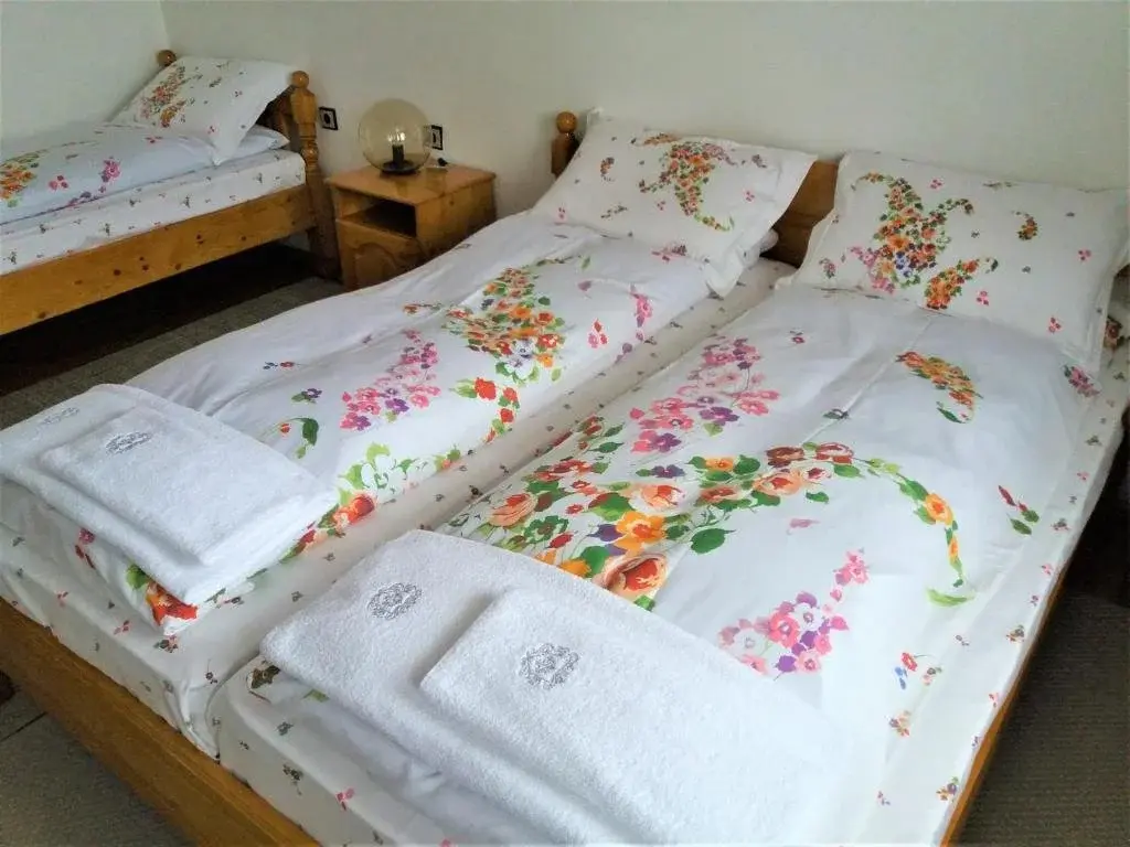 Банско: Guest House Sema