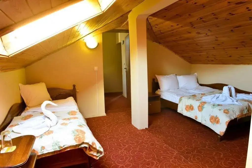 Банско: Hotel Sveti Georgi Pobedonosets