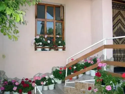 Балчик: Jotina Guest House