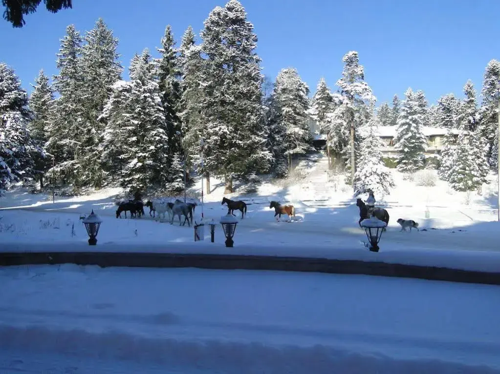 Самоков: Apartments Borovets