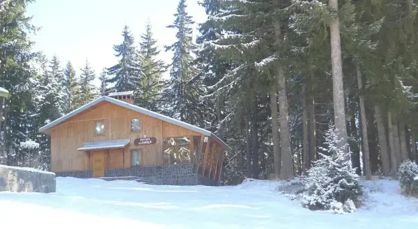Пампорово: Elitza Villa