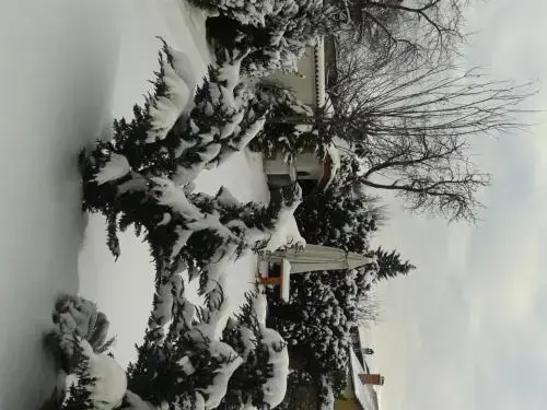 Банско: Zasheva Kushta Guesthouse