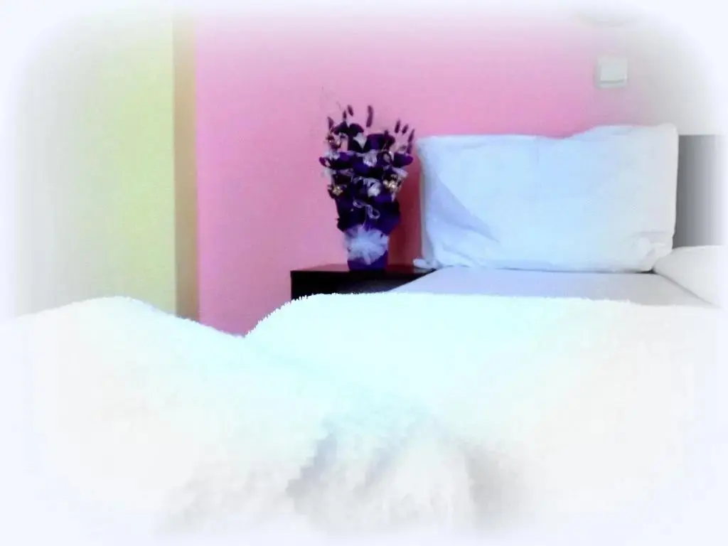 София: Bon Voyage Hotel Alexander