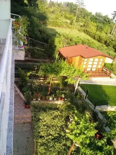 Солнечный берег: Villa Rai