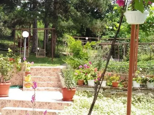 Солнечный берег: Villa Rai