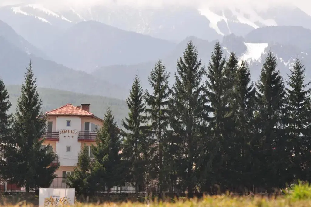 Банско: Michel Hotel