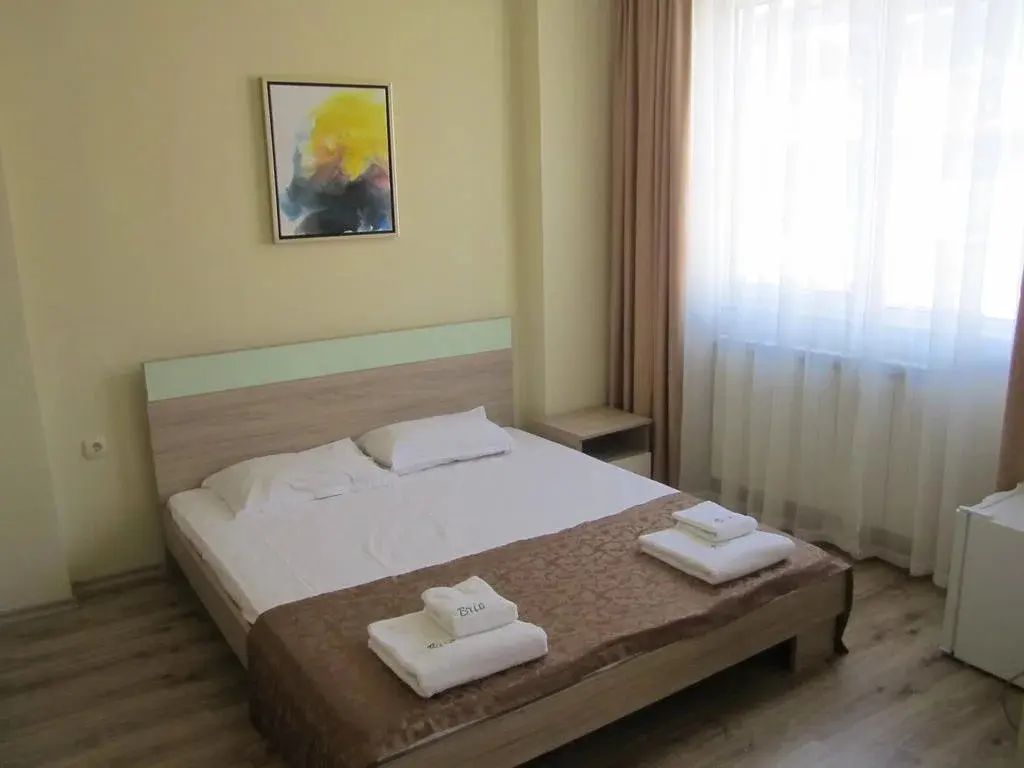 Велинград: Brio Hotel