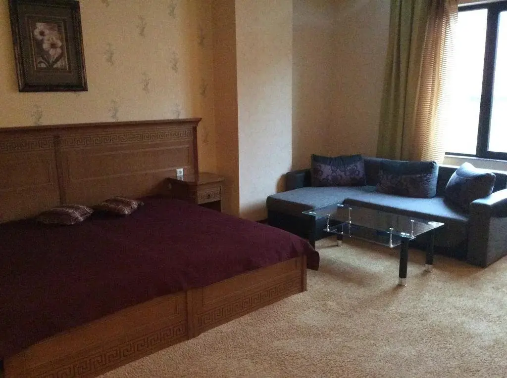 Велинград: Bulgaria Hotel