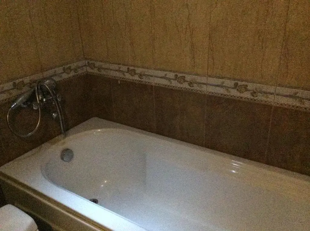 Велинград: Bulgaria Hotel