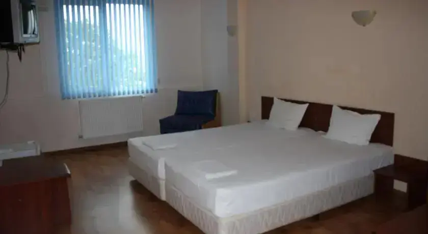 Стара Загора: Hotel Radnevo
