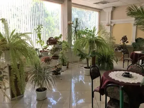 Видин: Fanti Hotel
