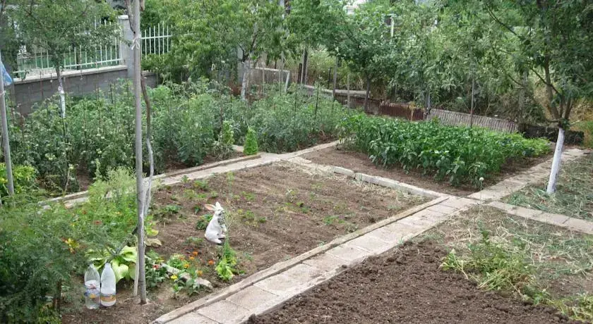 Созополь: Guest House Viara