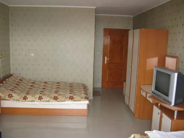 Сапарева баня: Fantasy Guest House