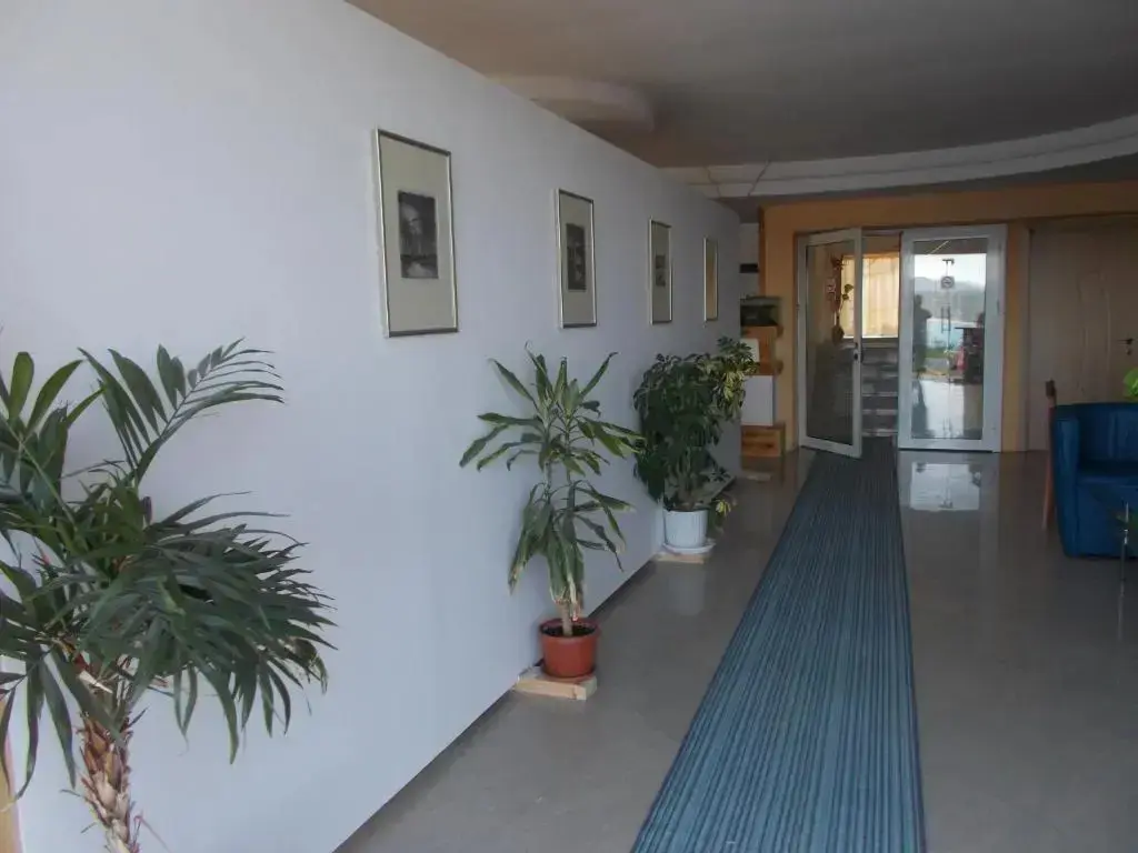 Созополь: Safo Apartments and Rooms