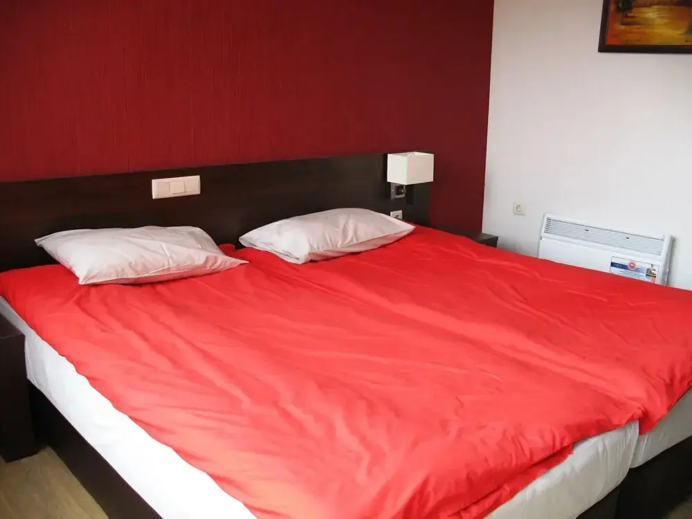 Банско: Hotel Alexander