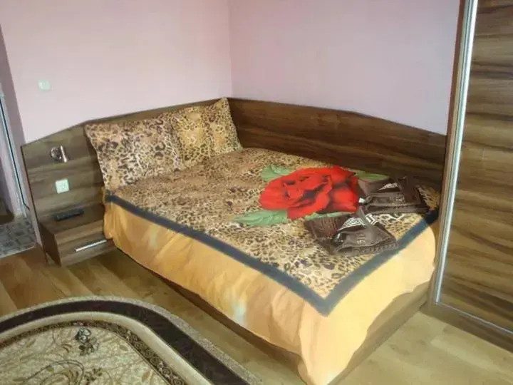 Долна баня: Tzvetelina Palace Hotel