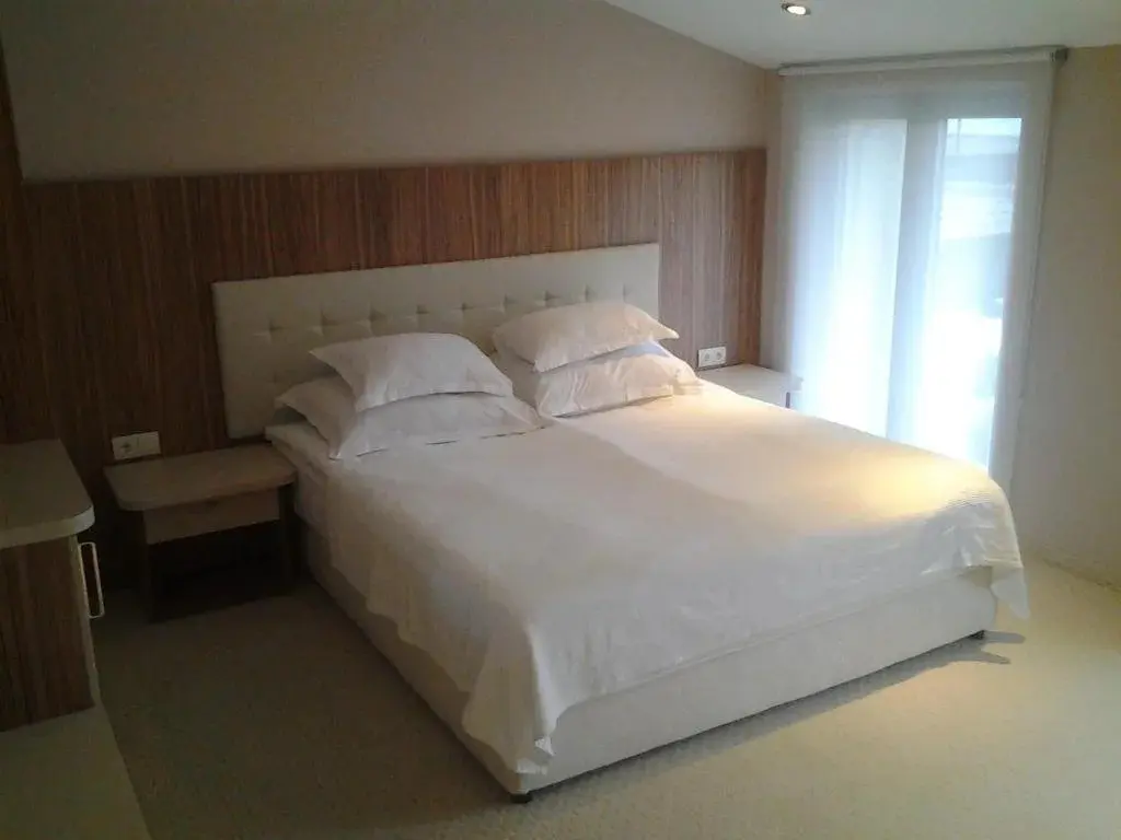 Ихтиман: Hotel Vila Ekaterina