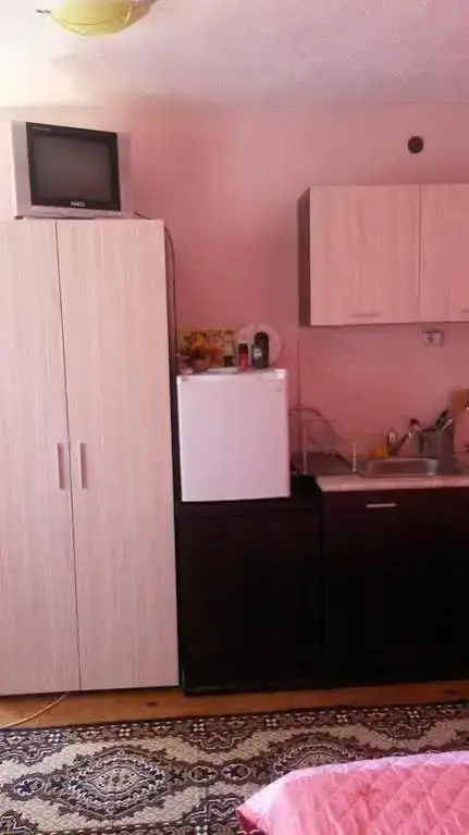 Баня: Elena Guest House