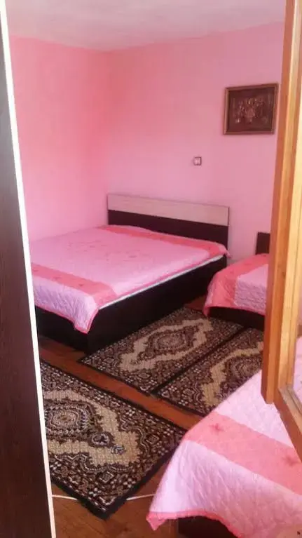 Баня: Elena Guest House