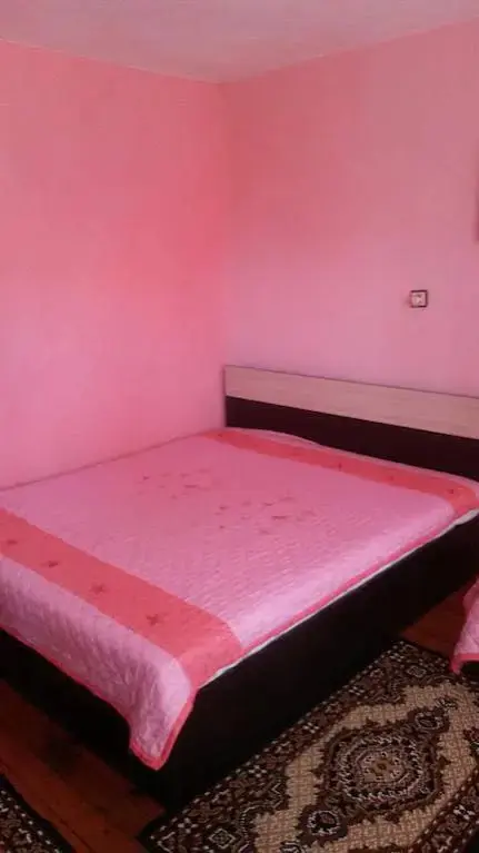 Баня: Elena Guest House