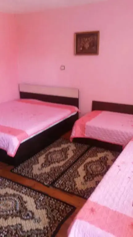 Баня: Elena Guest House