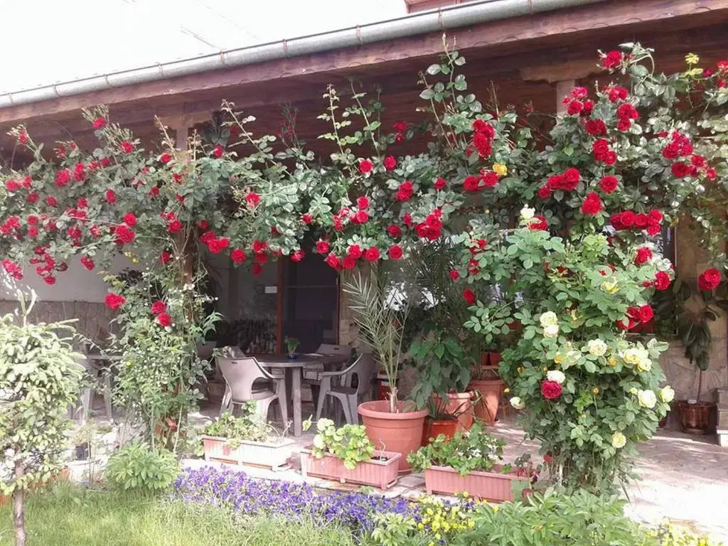 Стара Загора: Hotel House Todorovi