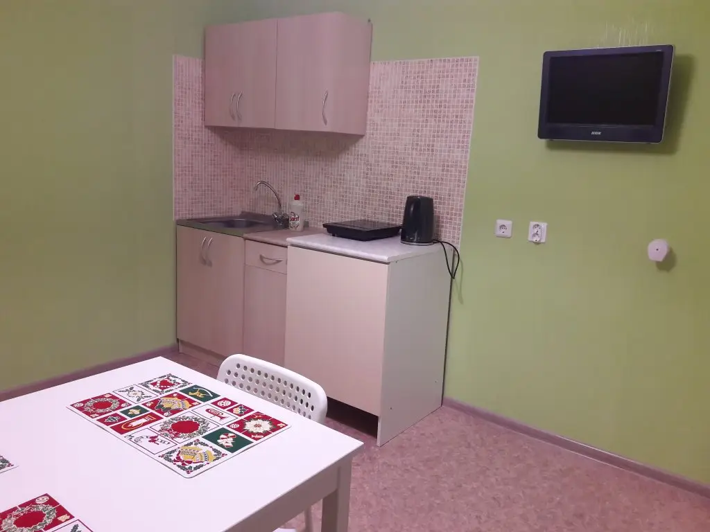 Вологда: Апартаменты Germini flat in Vologda