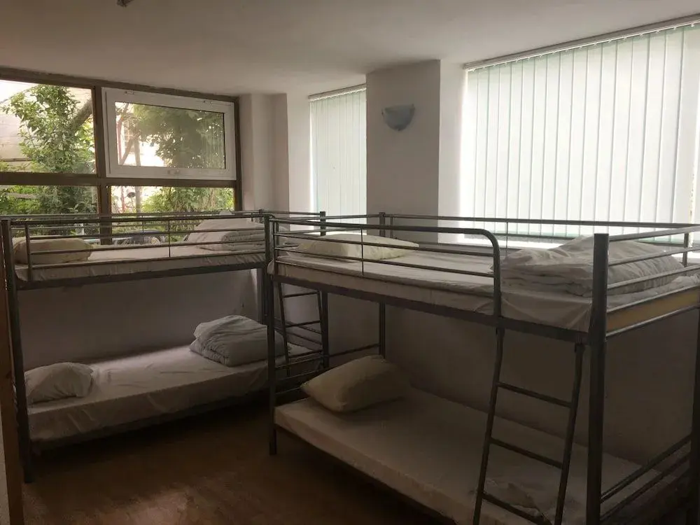 Варна: Hair of the Dog Hostel