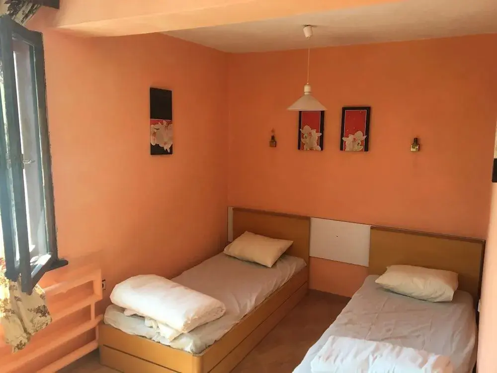 Варна: Hair of the Dog Hostel