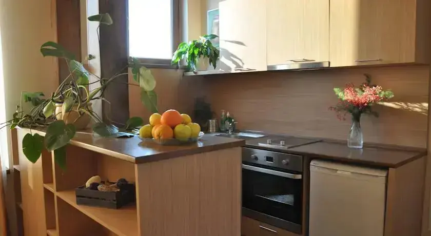 Сапарева баня: Rado Apartments