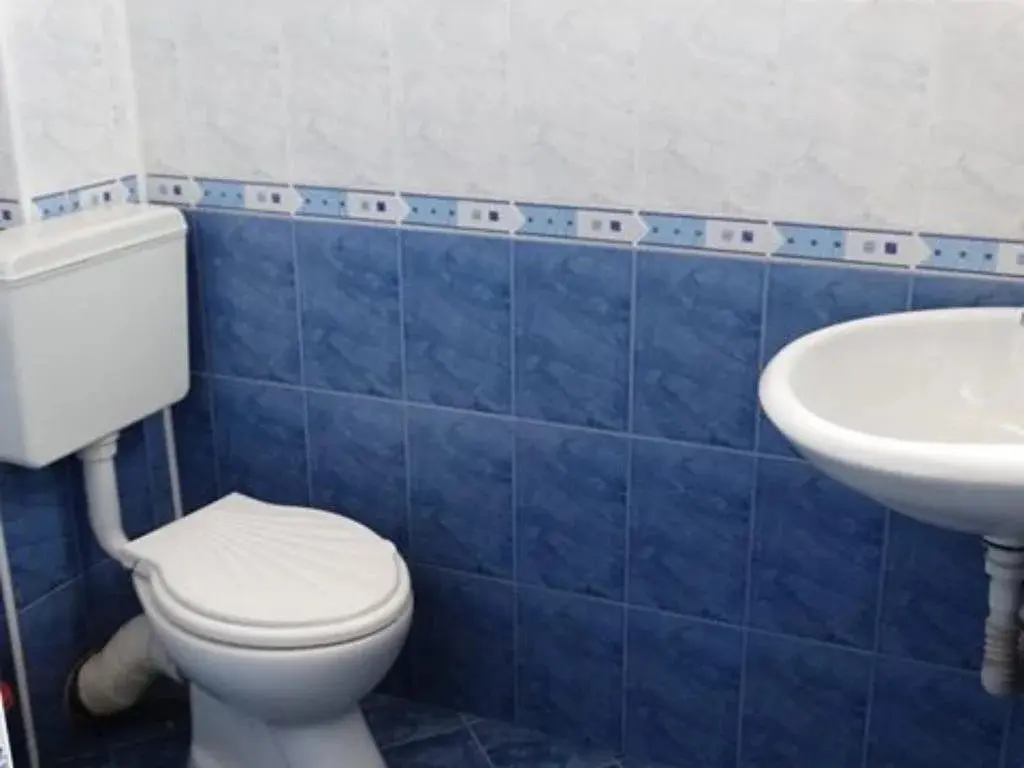 Кюстендил: Salmina House