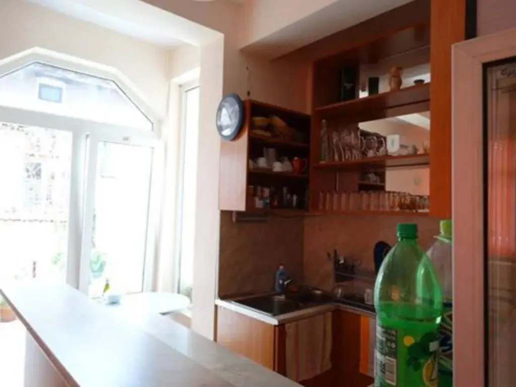 Кюстендил: Salmina House
