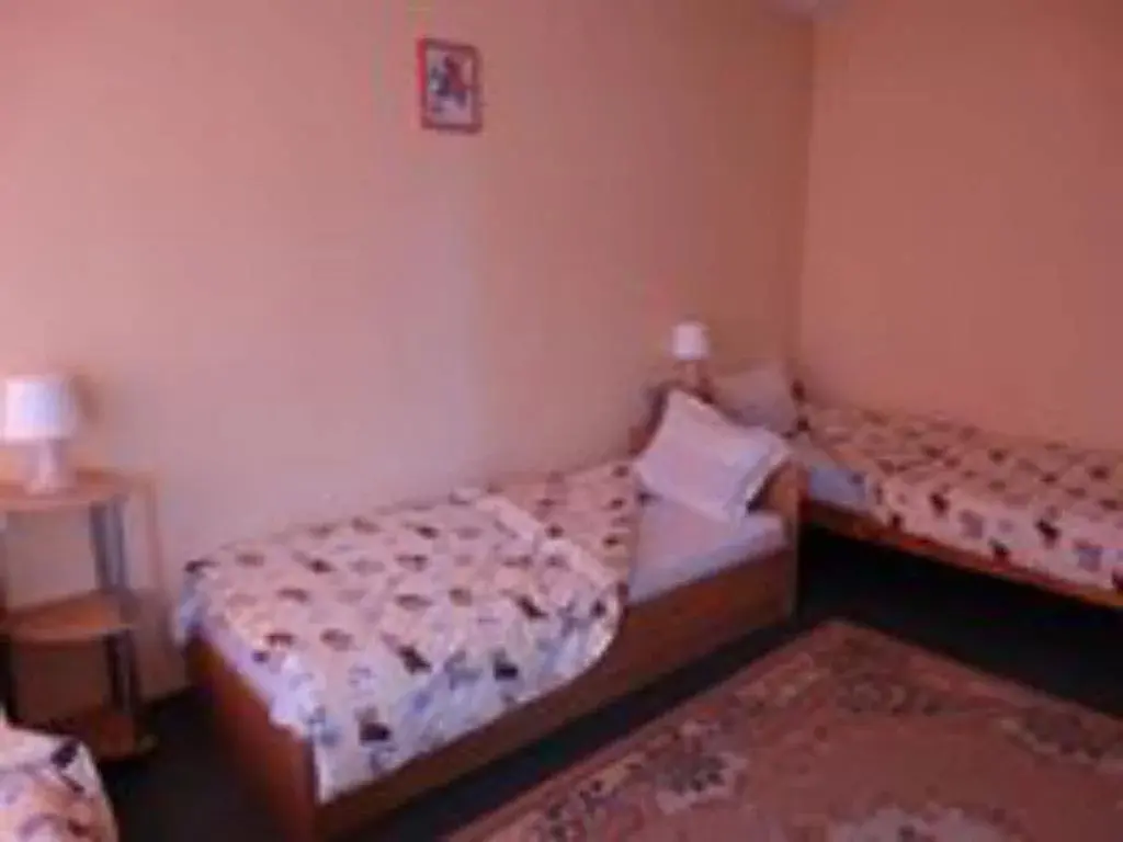 Кюстендил: Salmina House