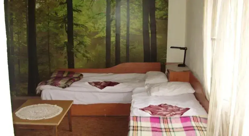 Боженци: Bonevi Guest House