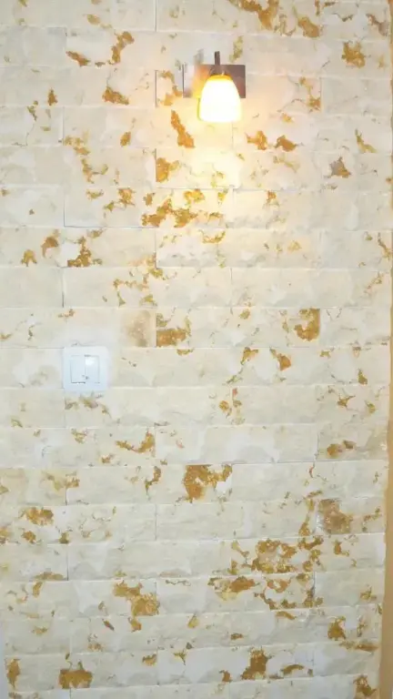 Извос: Geto Apartment