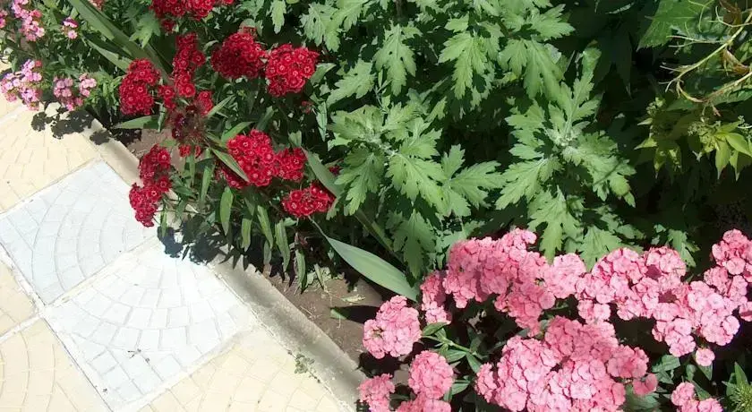 Кранево: Varna Hotel