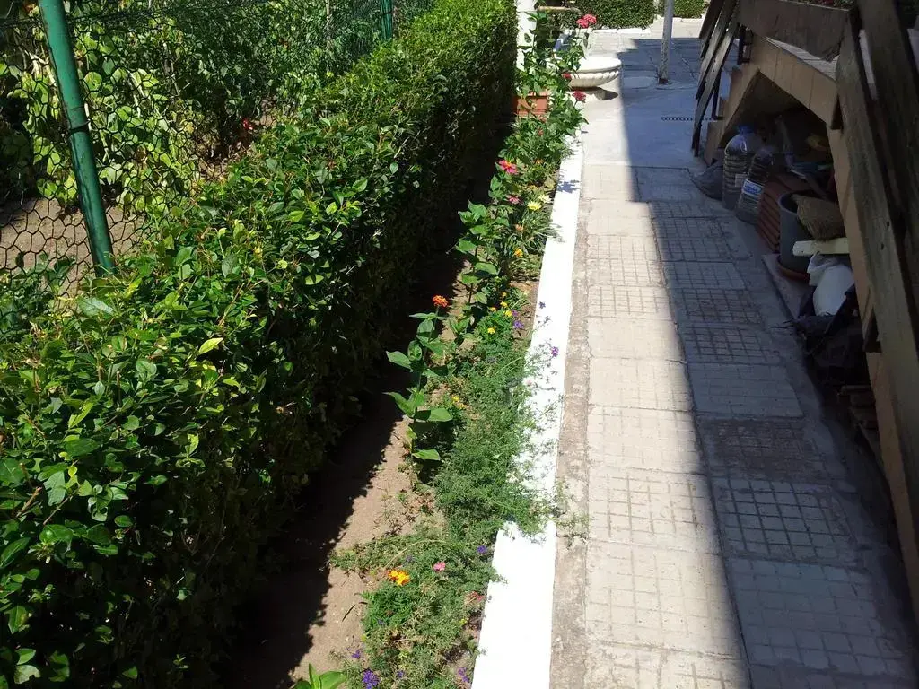 Созополь: Guest House Next to The Beach