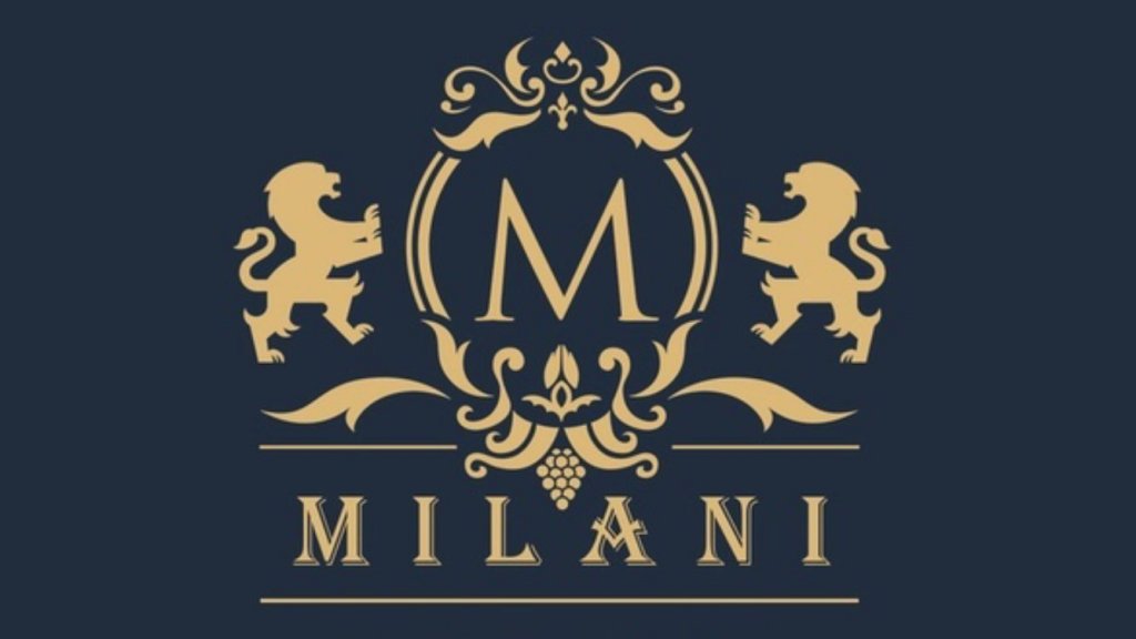 Вологда: Отель Milani