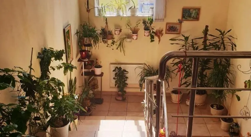 Вологда: Mini-Hotel Brusnika
