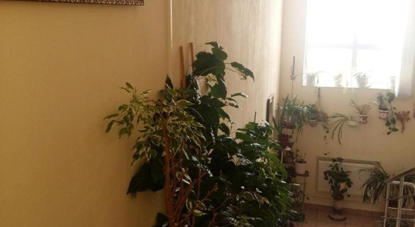 Вологда: Mini-Hotel Brusnika