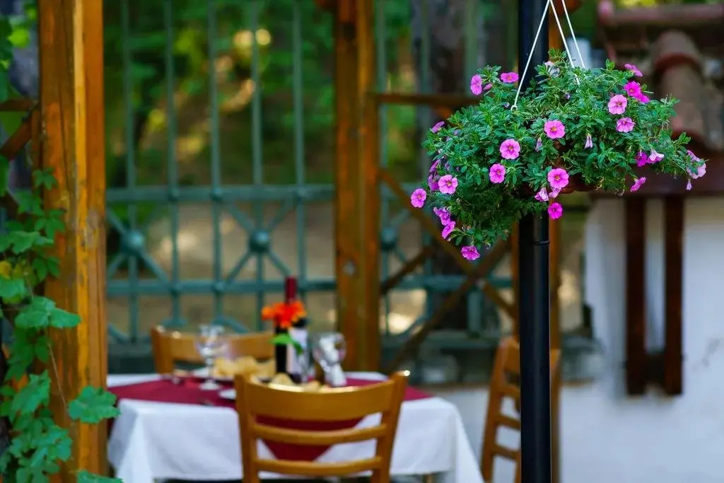 Кюстендил: Guest House Cheshmeto