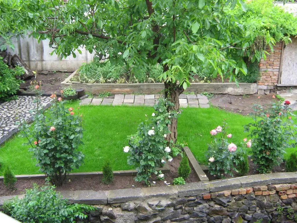 Созополь: Guest House Mihalevi