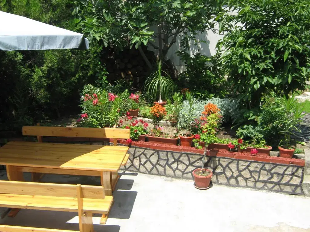 Созополь: Guest House Mihalevi