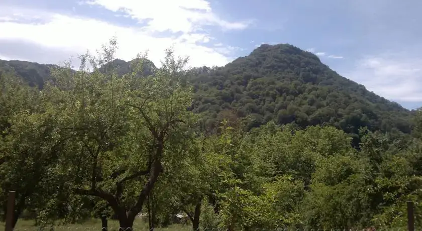 Villa Nanevi — фото 1