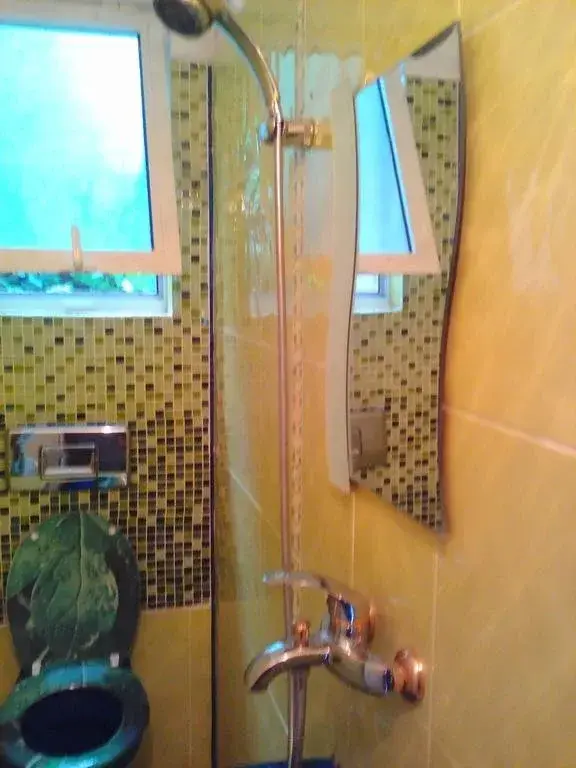 Созополь: Guest House Denitza
