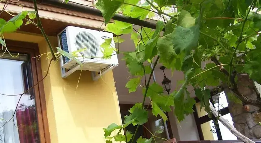 Созополь: Guest House Denitza